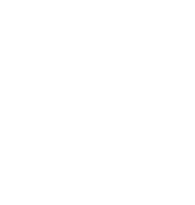 Christmas Lights Installation